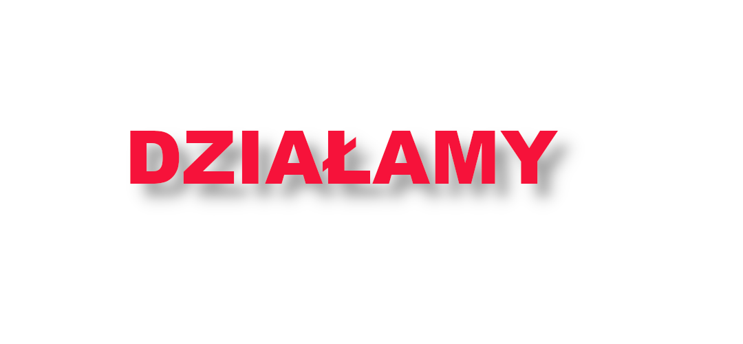 Wzmacniamy Zespół ds. Organizacji Ruchu.